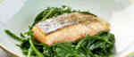 grilled salmon on green vegetables